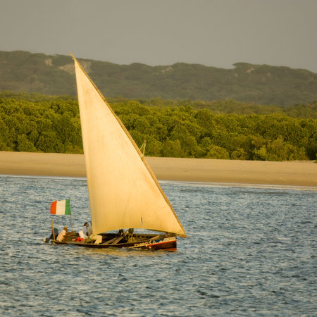 Sealingの写真素材