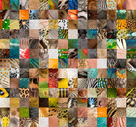Patchwork of 196 animals and human skinの写真素材