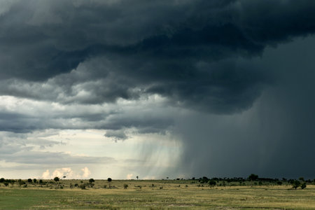Rain cloud over Africa landscape, Serengeti National Park, Serengeti, Tanzaniaの写真素材