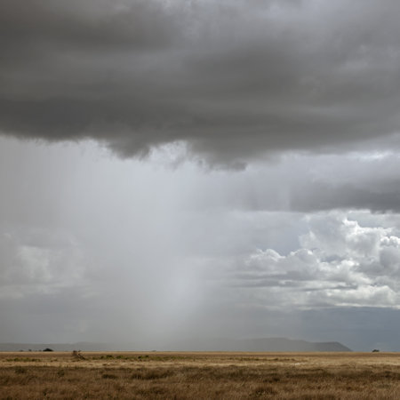Landscape of the Serengeti National Park, Tanzania, Africaの写真素材