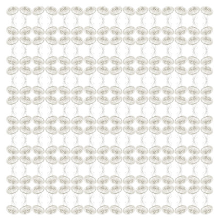 Common jellyfish, Aurelia aurita, in repeated pattern, in front of white backgroundの写真素材