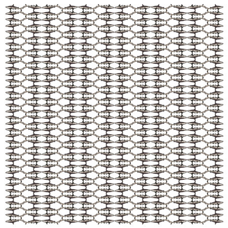 Blacktip reef shark, Carcharhinus melanopterus, in repeated pattern, in front of white background