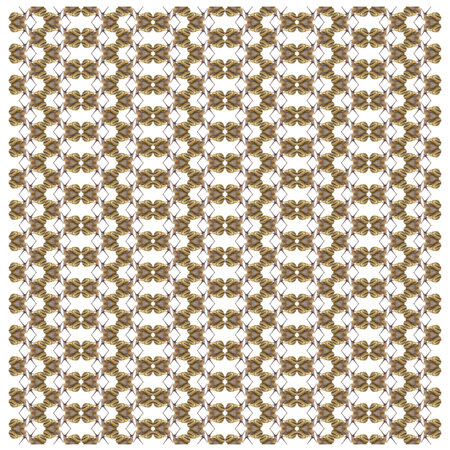 Grove snail, Cepaea nemoralis, in repeated pattern, in front of white backgroundの写真素材