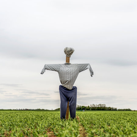 Scarecrow in a green field in a cloudy dayの写真素材