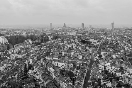 Brussels, Belgium,  January 3, 2021: panorama view from above, Basilica of Koekelberg on the backgroundのeditorial素材