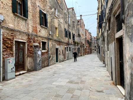 Dead European mole cricket, isolatedのeditorial素材