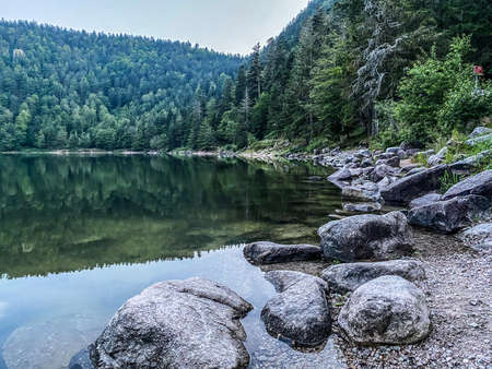 Lac des corbeaux Banks, La Bresse, Vosges, Franceの写真素材