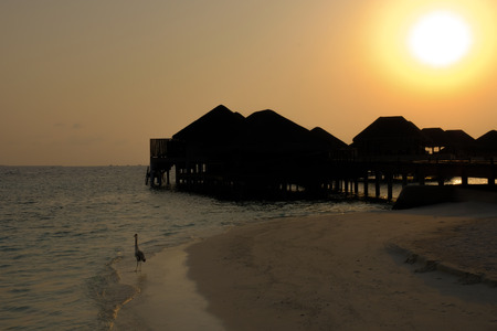 Sunset and water bungalows, abstract vacation background. Image has grain or blurry or noise and soft focus when view at full resolution. (Shallow DOF, slight motion blur)の写真素材