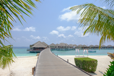 A perfect framing of green leaves, blue skies and crystal, summer waters as you walk along the boardwalk to the holiday houses.の写真素材