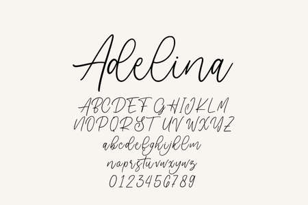 Vintage decorative font with label design and background pattern.のイラスト素材