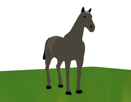 horse portrait standing against white background on grassのイラスト素材
