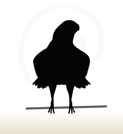 illustration of eagle silhouette isolated on white backgroundのイラスト素材