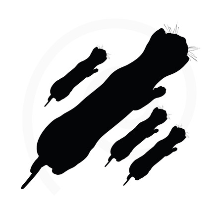 Vector Image - cat silhouette isolated on white backgroundのイラスト素材