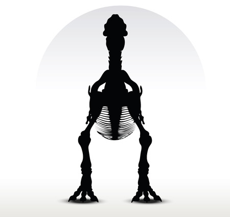 Vector Image - dinosaurs trex skeleton isolated on white backgroundのイラスト素材