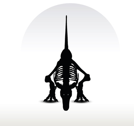 Vector Image - dinosaurs trex skeleton isolated on white backgroundのイラスト素材