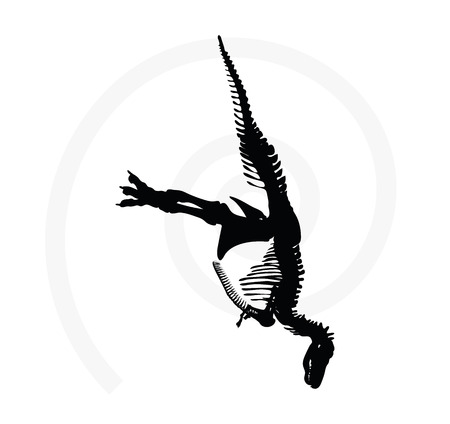 Vector Image - dinosaurs trex skeleton isolated on white backgroundのイラスト素材