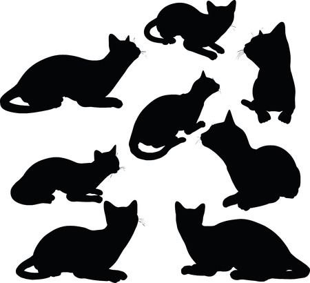 Vector Image - cat silhouette in Sitting pose isolated on white backgroundのイラスト素材