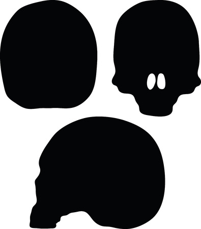 Vector Image - skeleton head silhouette isolated on white backgroundのイラスト素材