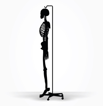 Vector Image - skeleton silhouette in default pose isolated on white backgroundのイラスト素材