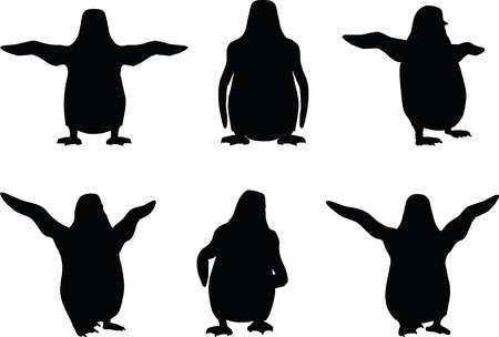vector illustration of penguin on white backgroundのイラスト素材