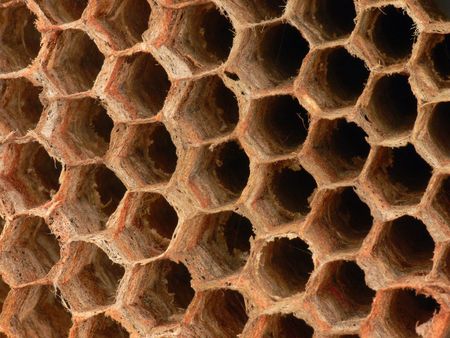 Macro picture of a beehive