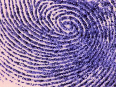 Close up picture of a purple fingerprintの写真素材