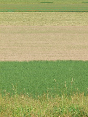 Landscape with four different horizontal fields