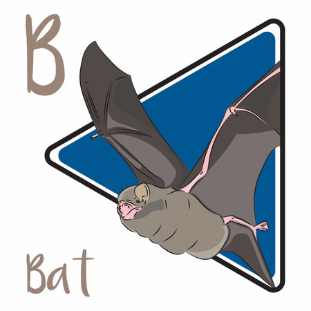 Bats are the only mammals that can undertake true powered flight. Many bat species use sound to find their way around in the dark and to catch prey to eat.のイラスト素材