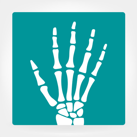 human hand bonesのイラスト素材