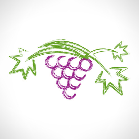 Grape vectorのイラスト素材