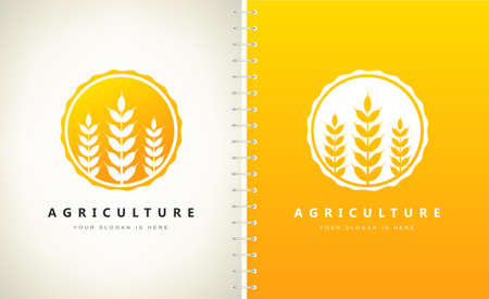 Agriculture Wheat logo vector plantのイラスト素材
