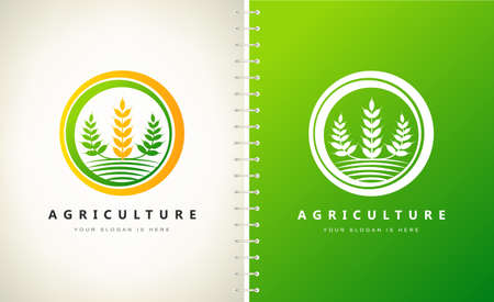 Agriculture Wheat logo vector plantのイラスト素材