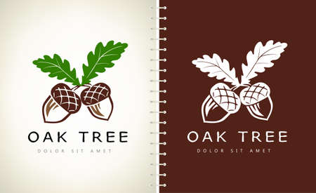 Oak tree logo. Acorn  vector.のイラスト素材