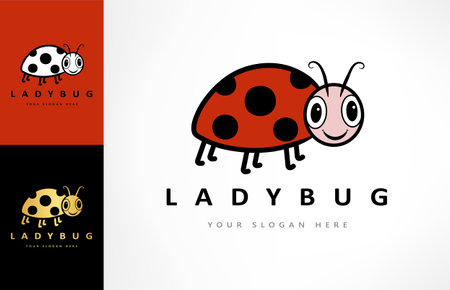 Ladybug logo vector. insect design.のイラスト素材
