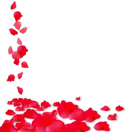 valentines with  red rosesの写真素材