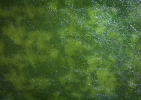 Texture of green leather background. Surface of material made from animal skin.