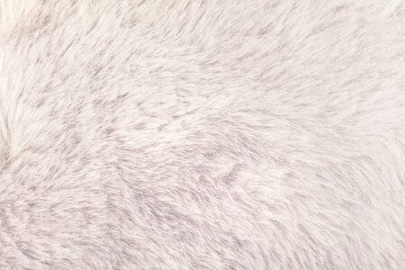 Texture of shaggy fur background. Detail of soft hairy skin material.