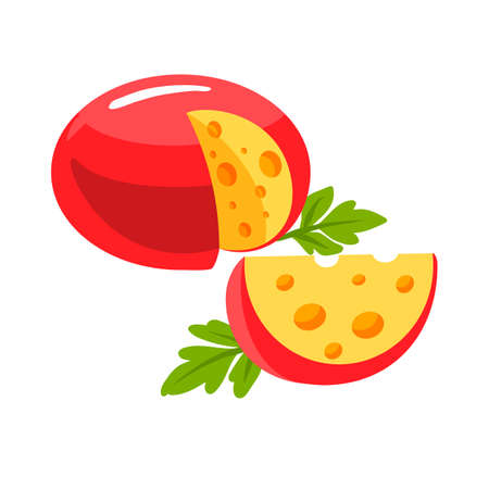 Piece of sliced cheese Modern flat style realistic vector illustration icons isolated on white backgroundのイラスト素材