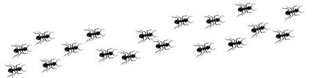 Ant trail A line of worker ants marching in search of food Vector illustration horizontal banner Ant road column Teamwork Hard work metaphor Black insect silhouettes traveling. Isolatedのイラスト素材