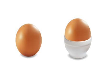 A brown single egg and egg white in a stand.のイラスト素材