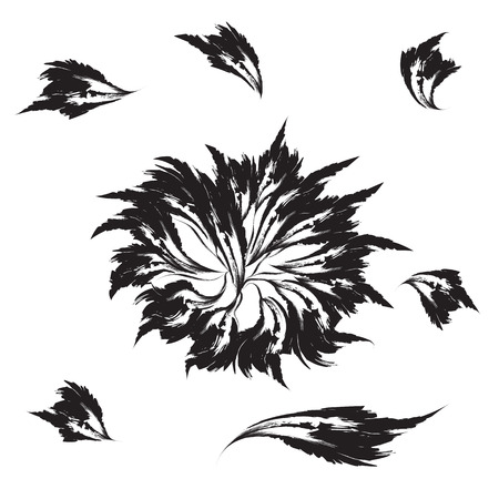 isolated black flower and petals on a white background abstract illustrationのイラスト素材
