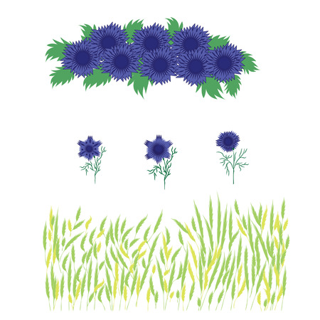 Set of grass wheat   and blue flowers  wreath of cornflowers   isolated on white background   decor springのイラスト素材