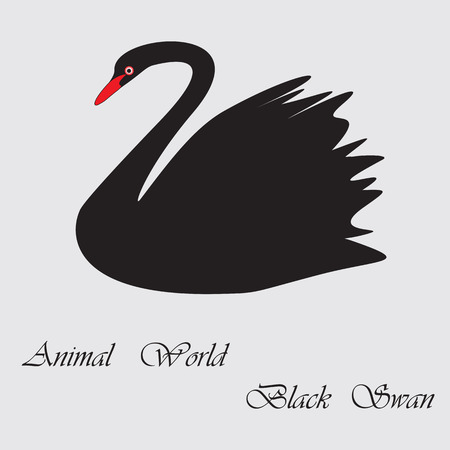 Black Swan world of birds inscription animal world light backgroundのイラスト素材