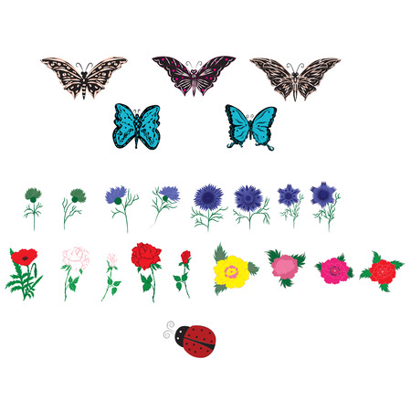 Set decor spring summer flora fauna peony rose bud cornflower butterfly ladybug isolated on white backgroundのイラスト素材