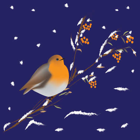 bullfinch bird on a branch of a mountain ash covered with snow winter backgroundのイラスト素材