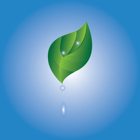 water drops on a green leaf white-blue background isolated abstract illustrationのイラスト素材