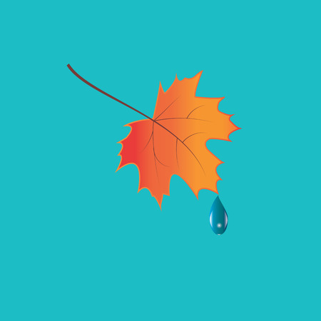 colorful autumn leaf raindrop art creative modern isolated light blue background Vector elements for designのイラスト素材