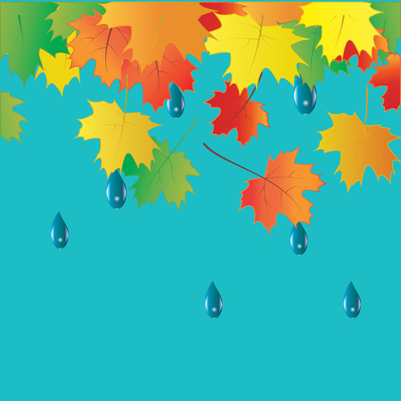 colorful autumn leaves raindrops vector art creative modern isolated light blue background elements for designのイラスト素材
