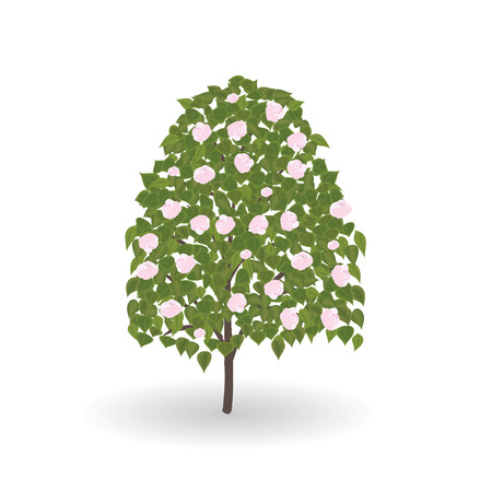 tree flowering green leaves pink flowers isolated on white background vector element for design illustration art creativeのイラスト素材