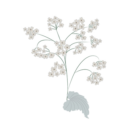 small flowers on the stem and a large burdock leaf isolated on white background art creative vectorのイラスト素材